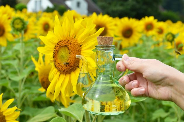 Is Sunflower Oil Healthy for Keto Naked Nutrition