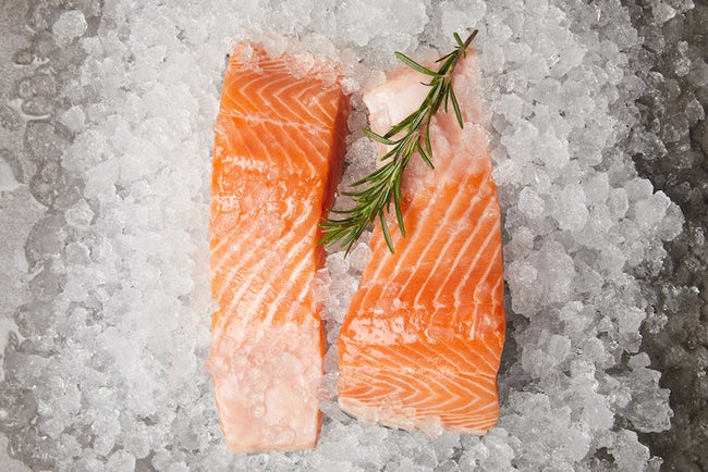 High Protein Foods: The Best Animal and Plant Sources
