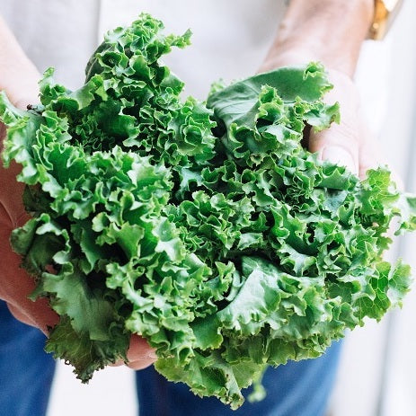 ¿Cuáles son los beneficios del polvo Super Greens?