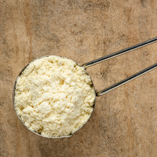 Wie Protein das Immunsystem und die Regeneration stärkt