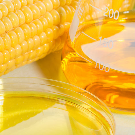 Are Protein Bars Good For You?