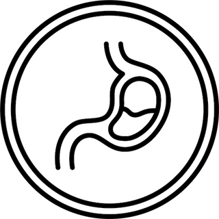 Easy Digestion