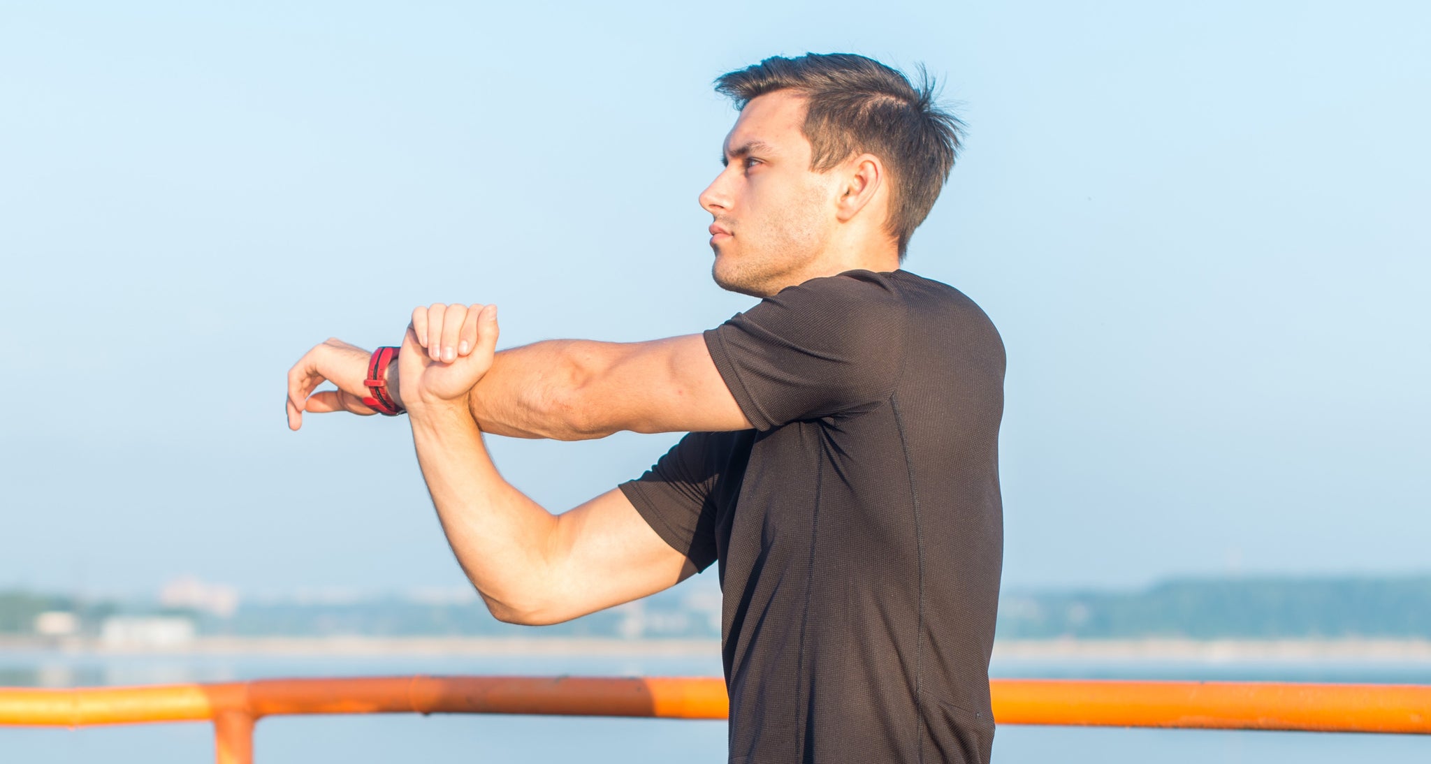 Creatine Cycle Header