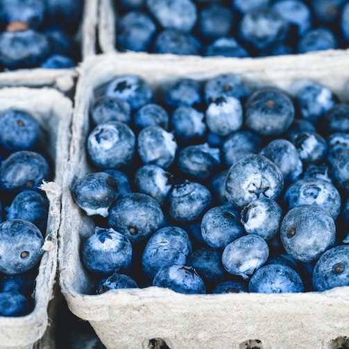 Blueberry Flavored Vegetarian Protein Bar Recipe