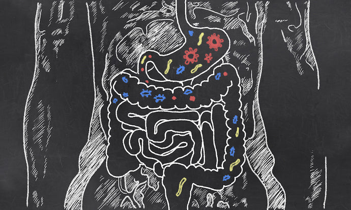 How to Identify and Prevent Leaky Gut