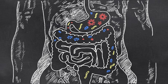 How to Restore Your Gut After Antibiotics