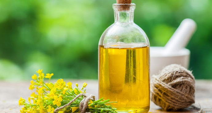Is Canola Oil Bad For You?