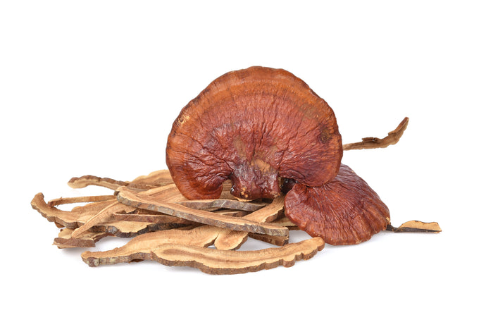 Benefits of Reishi Mushrooms for Mood, Immunity, and More