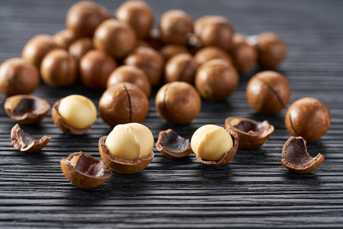 What Are the Highest Protein Nuts?