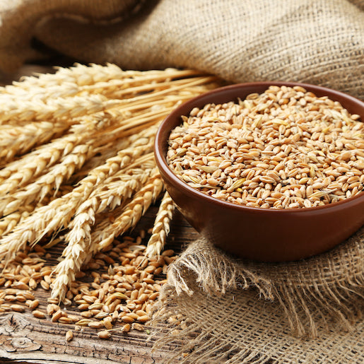 El mejor polvo de proteína sin gluten