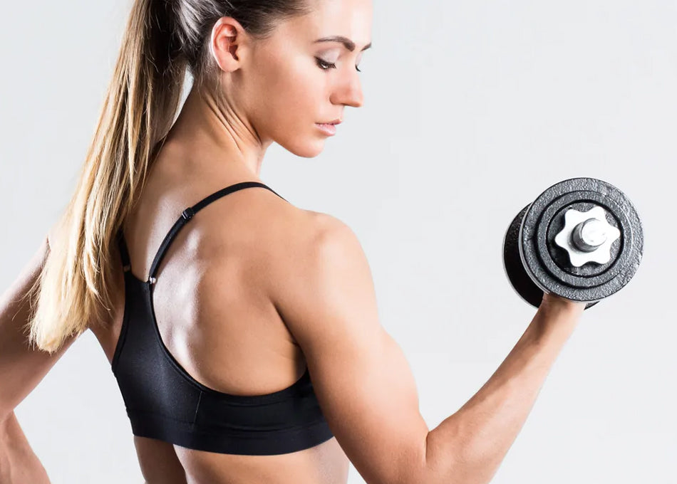 Strengthen Every Muscle Easy Full Body Dumbbell Routine