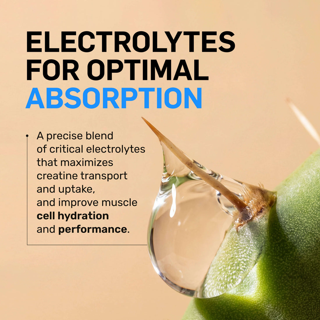 Creatine HCl Powder | Naked Lean Creatine - 232g