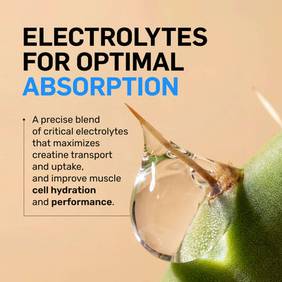 Creatine HCl Powder | Naked Lean Creatine - 232g