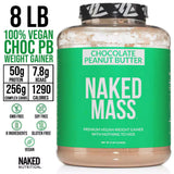 chocolate peanut butter vegan mass 