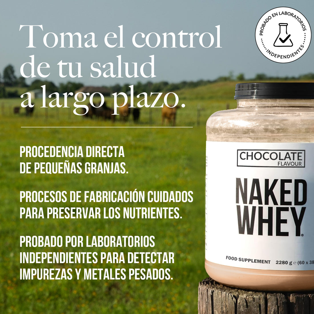 Proteína de suero de leche en polvo con sabor a chocolate | Naked Chocolate Whey - 2 libras