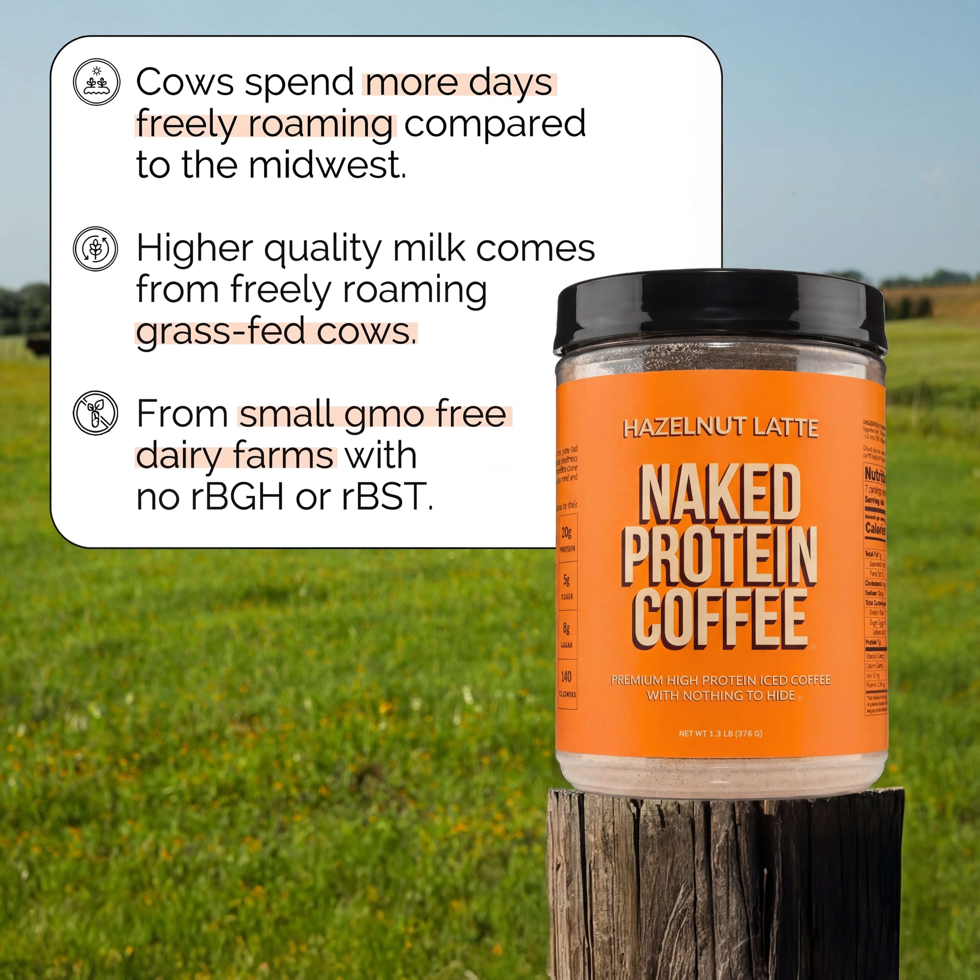 Hazelnut Latte Protein Iced Coffee | Naked Protein Coffee - 17 Servings