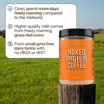 Hazelnut Latte Protein Iced Coffee | Naked Protein Coffee - 17 Servings