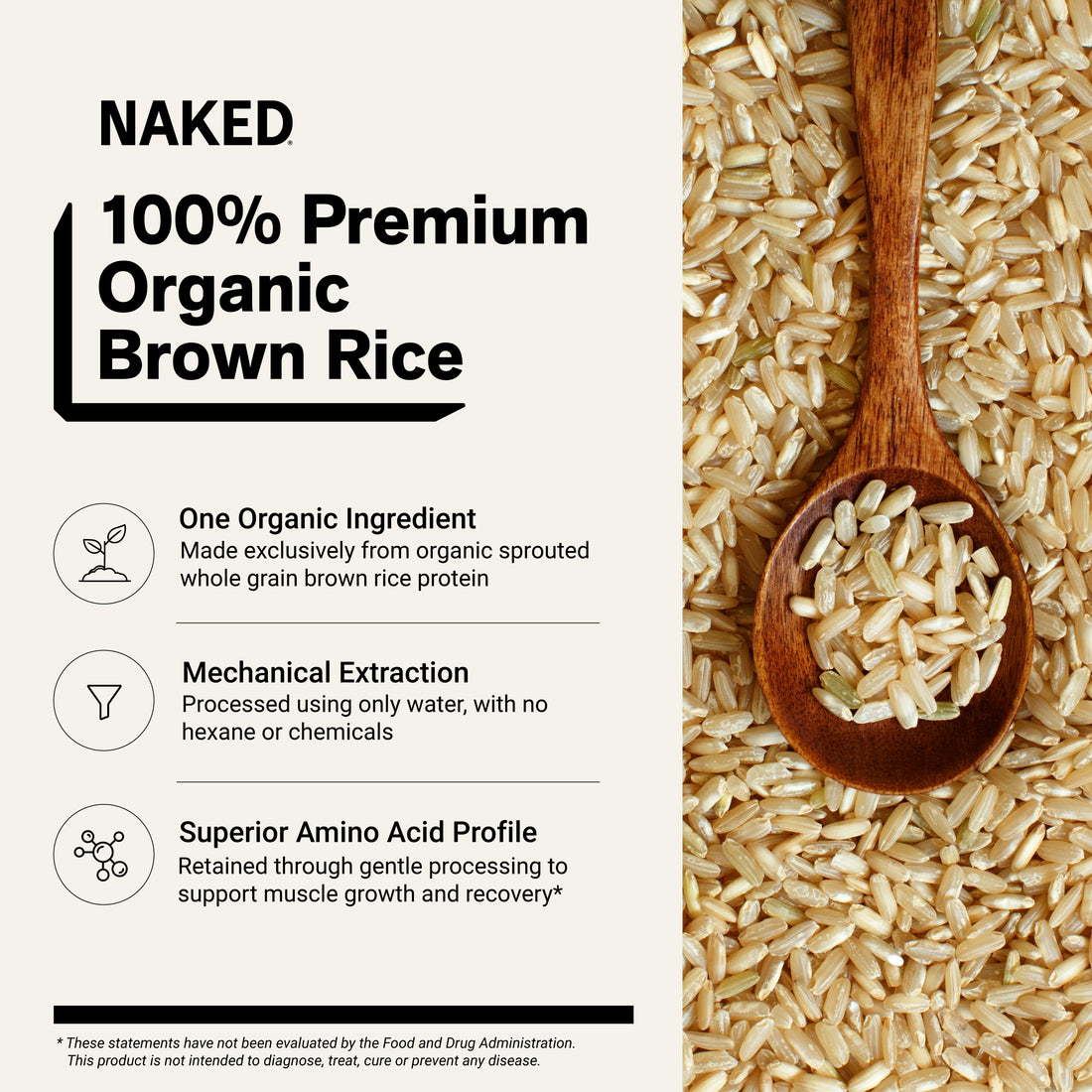 Organic Brown Rice Protein Powder | Naked Rice - 5lb