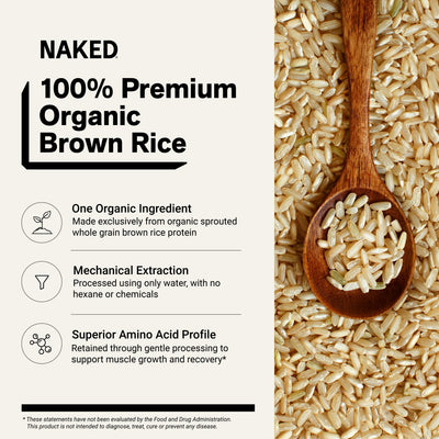 Organic Brown Rice Protein Powder | Naked Rice - 5lb