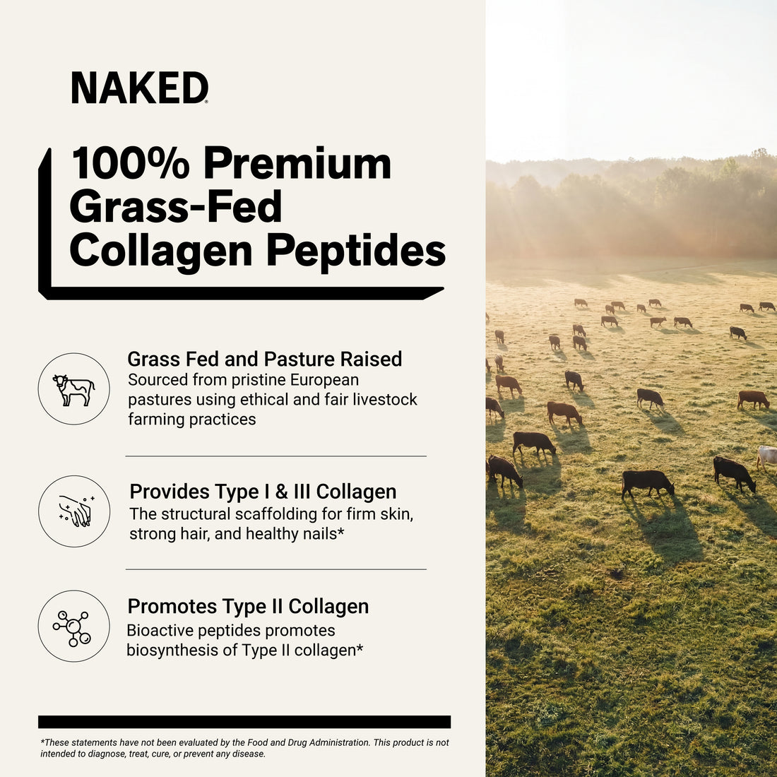 Caramel Collagen Peptides Powder | Naked Collagen - 1.2 LB