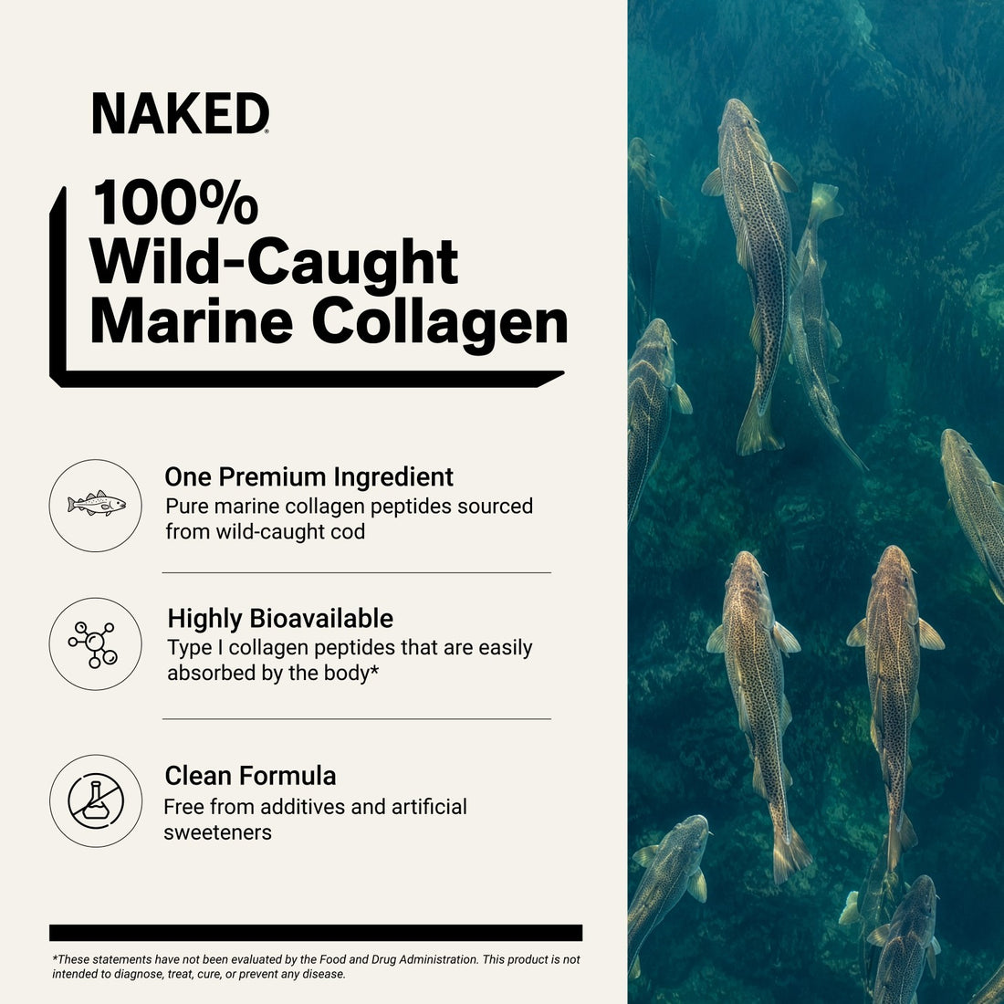 Proteína en polvo de péptidos de colágeno marino | Naked Marine Collagen