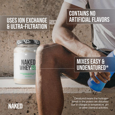 whey iso protein powder