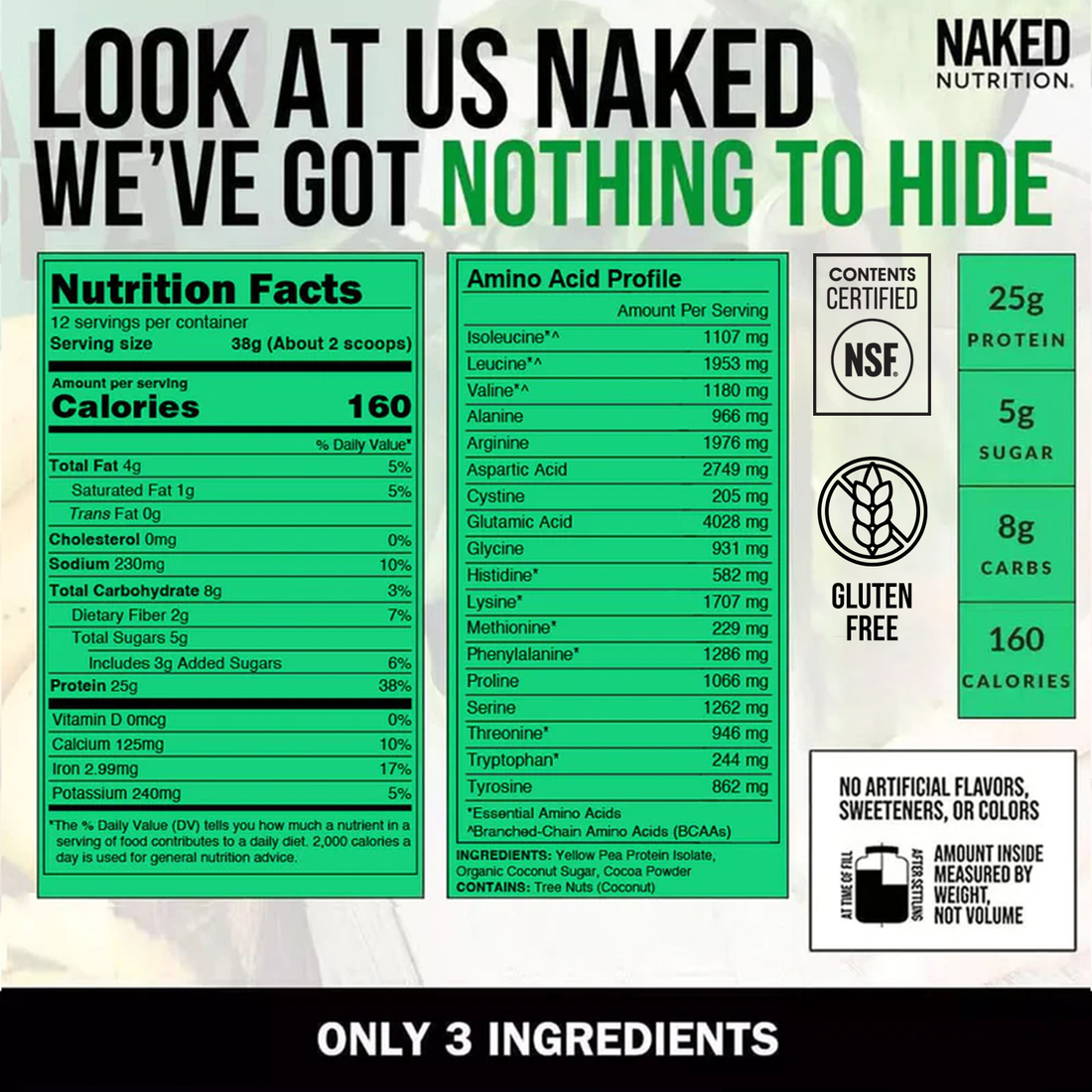 chocolate protein powder