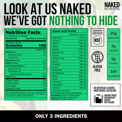 chocolate protein powder