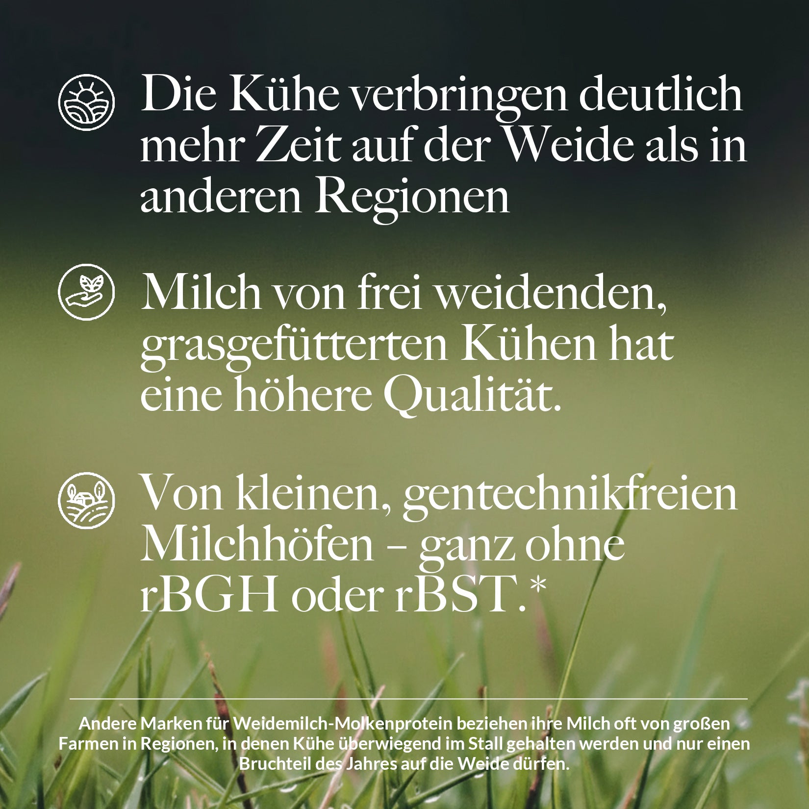 Molkenproteinpulver aus Weidehaltung | Naked Molke - 2280g