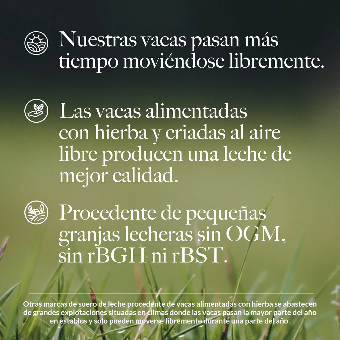 Proteína de suero de leche en polvo alimentada con pasto | Naked Whey - 2 libras