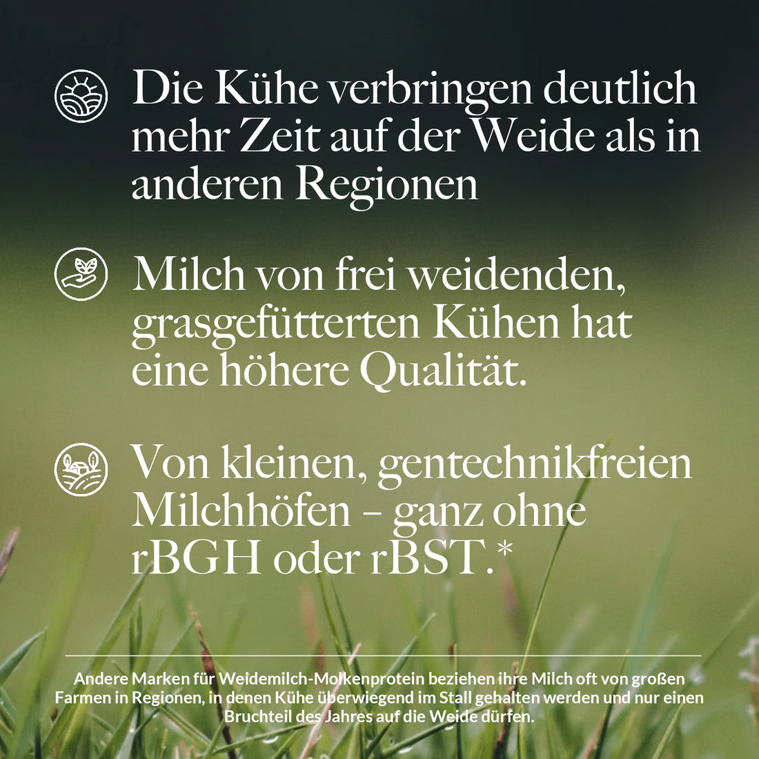 Molkenproteinpulver aus Weidehaltung | Naked Molke - 450g