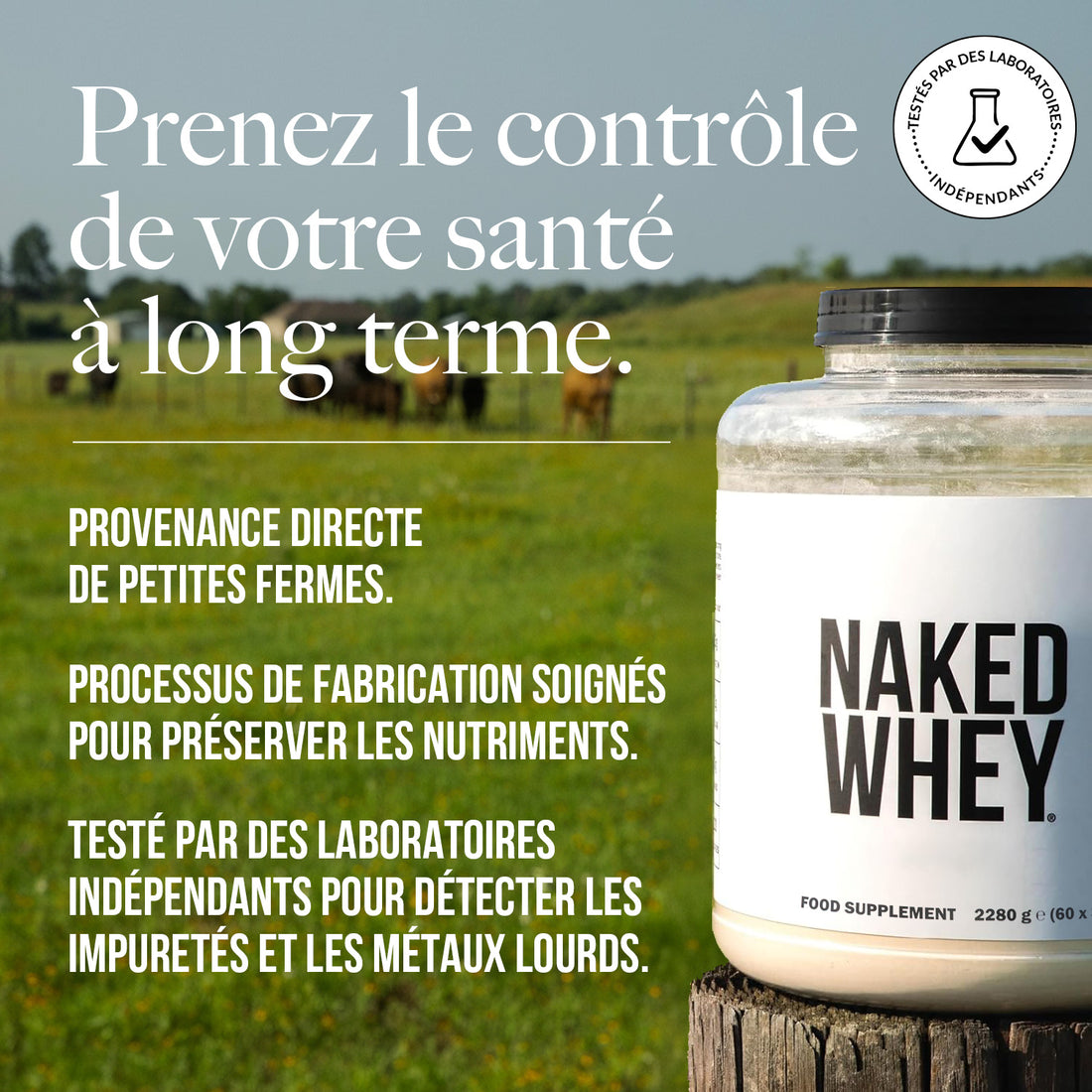 Protéine de Whey en Poudre | Naked Whey - 450g