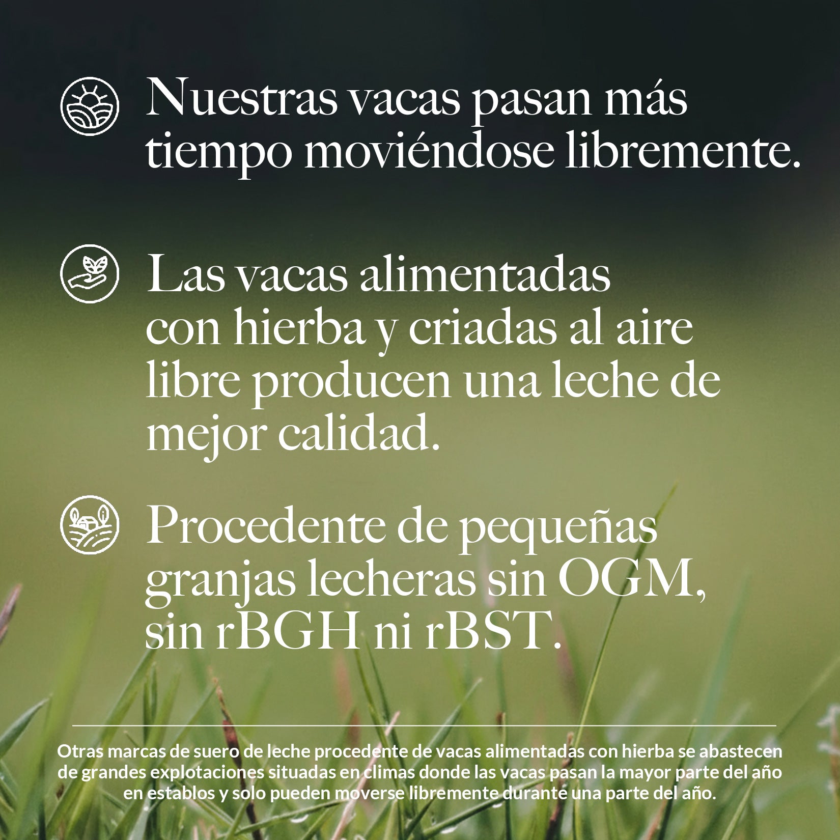 Proteína de suero de leche en polvo con sabor a vainilla | Naked Vanilla Whey - 5 libras