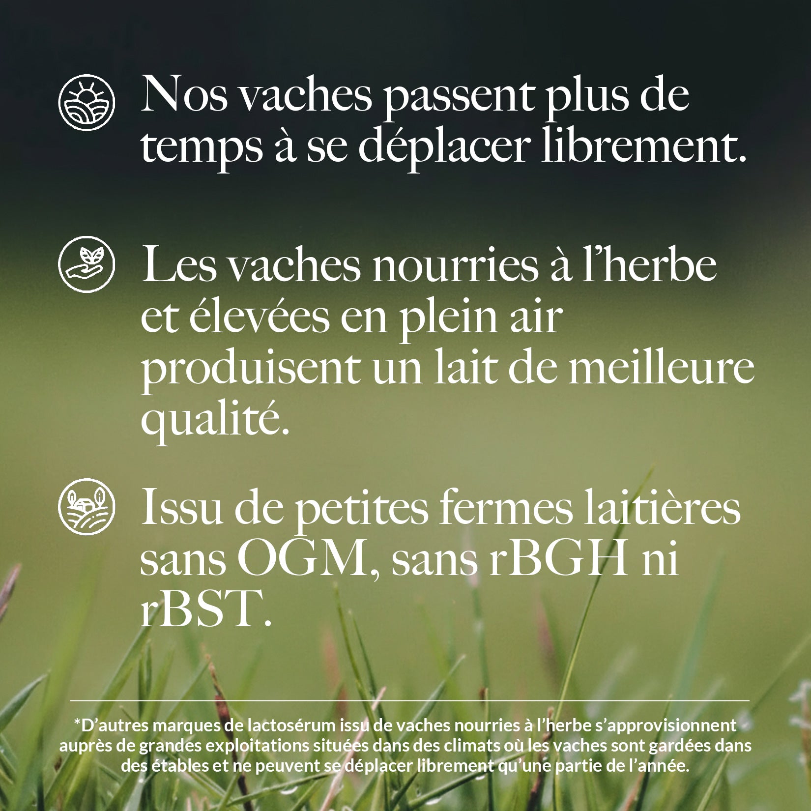 Protéines de Whey à la vanille | Naked Vanilla Whey - 2280g