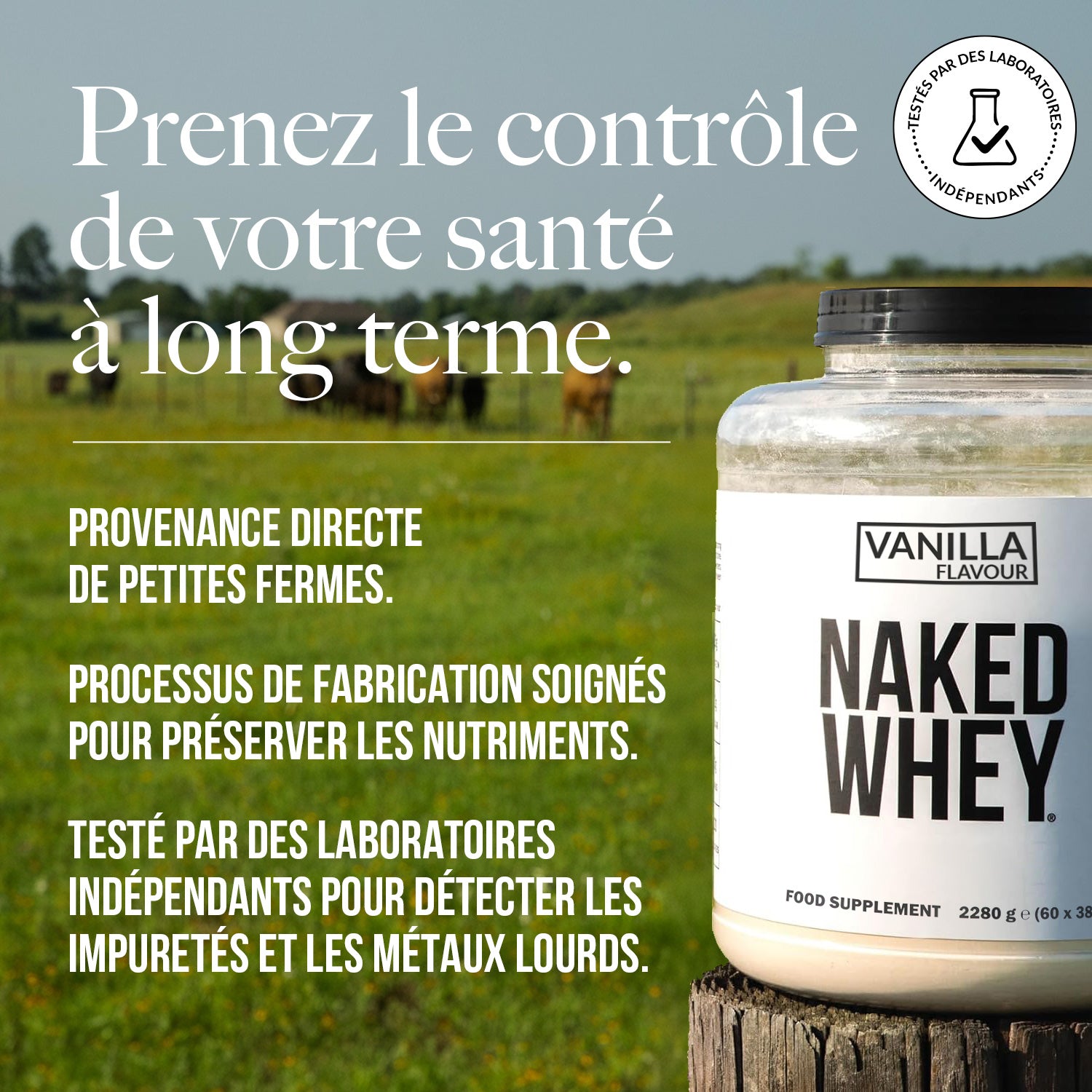Protéines de Whey à la vanille | Naked Vanilla Whey - 450g