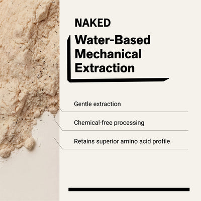 chemical-free processing water-based mechanical extraction pea protein powder