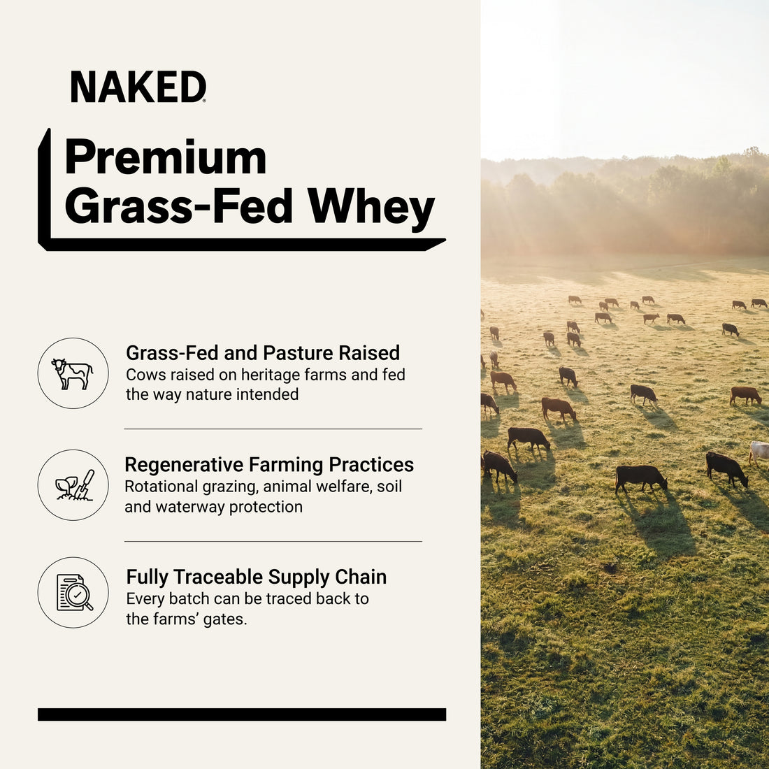 grass fed whey protein source non-gmo