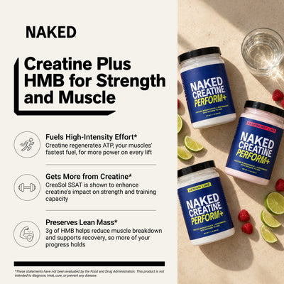 creatine hmb strength muscle support