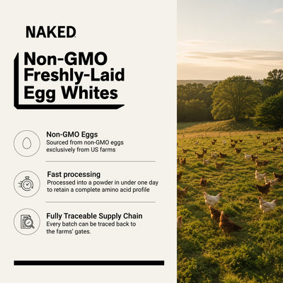 egg powder protein non gmo eggs