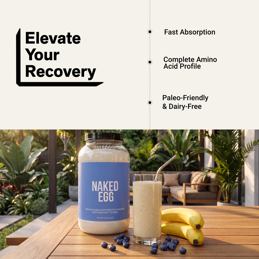 egg protein powder shake powder amino acid