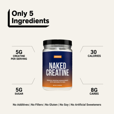 post-workout muscle recovery plant-based no-fillers no-gluten