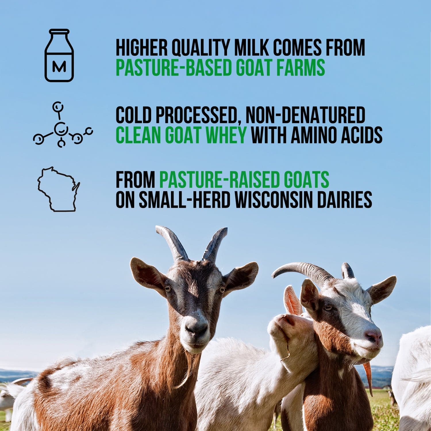 does goat whey contain glutathione Goat Whey Protein Powder 2lb
