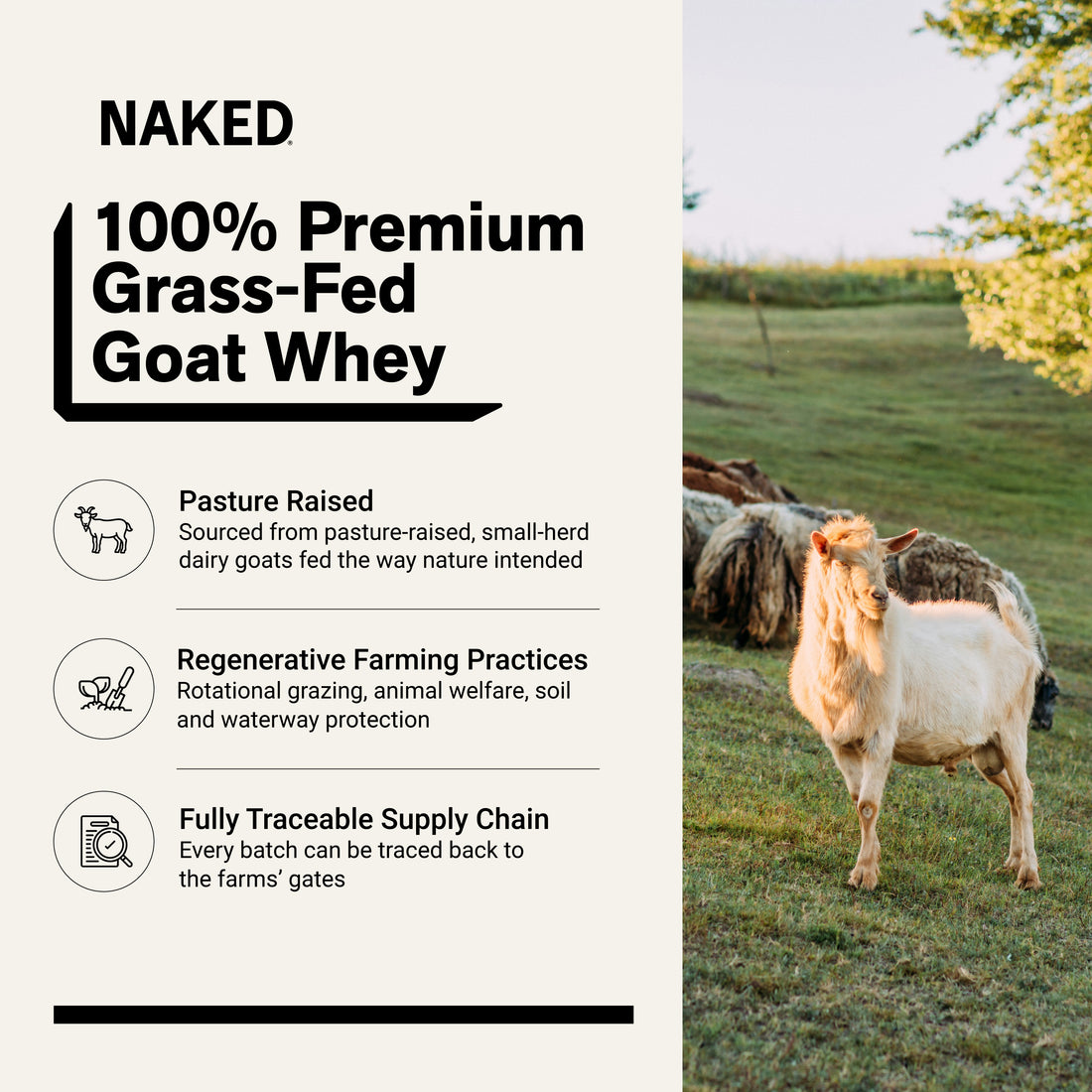 Goat Whey Protein Powder | Naked Goat - 2lb