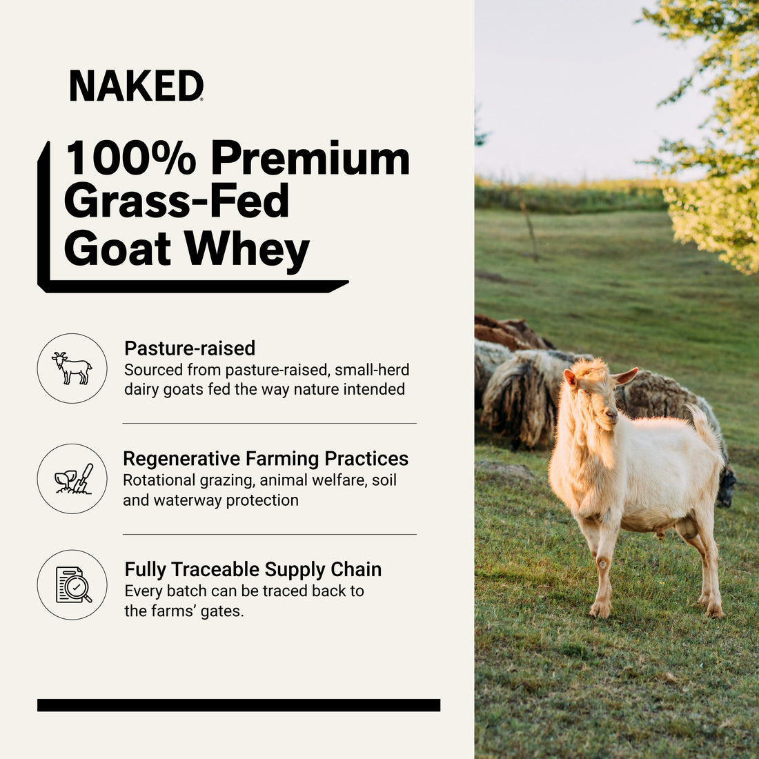 grass-fed-goat-whey-protein-source-non-gmo
