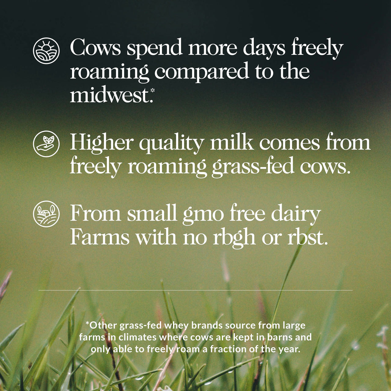 about our grass fed whey protein