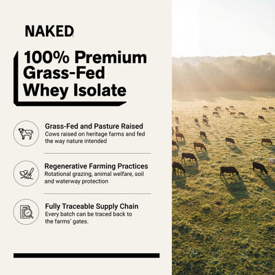 chocolate-peanut-butter whey isolate protein powder 2LB
