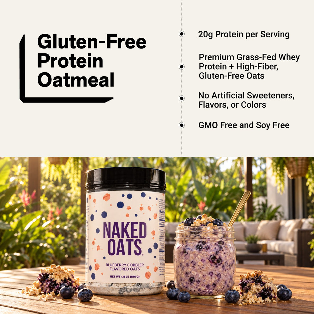 naked oats blueberry cobbler protein oatmeal infographic