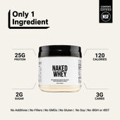 whey isolate protein powder clean ingredient gluten-free soy-free