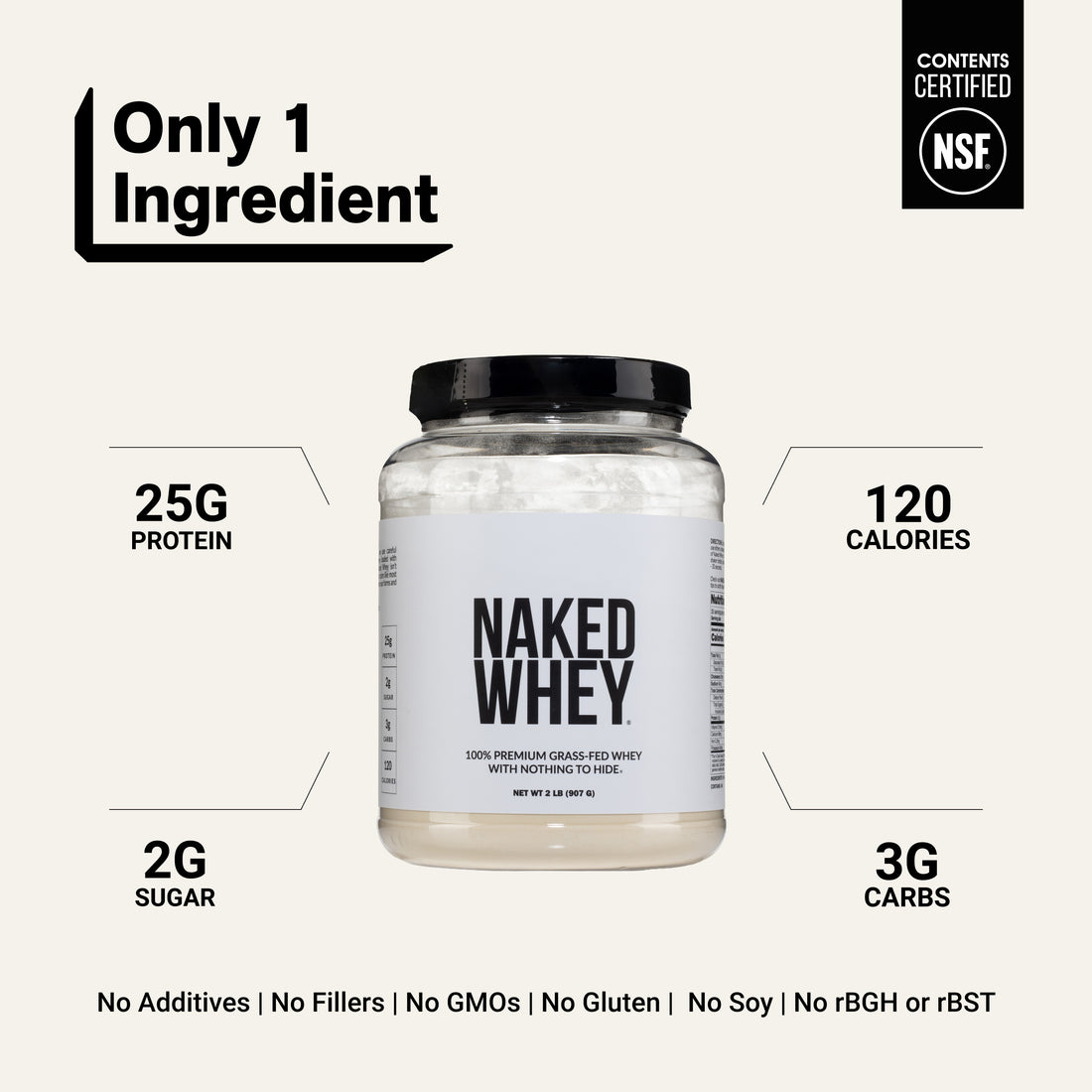 whey isolate protein powder clean ingredient gluten-free soy-free