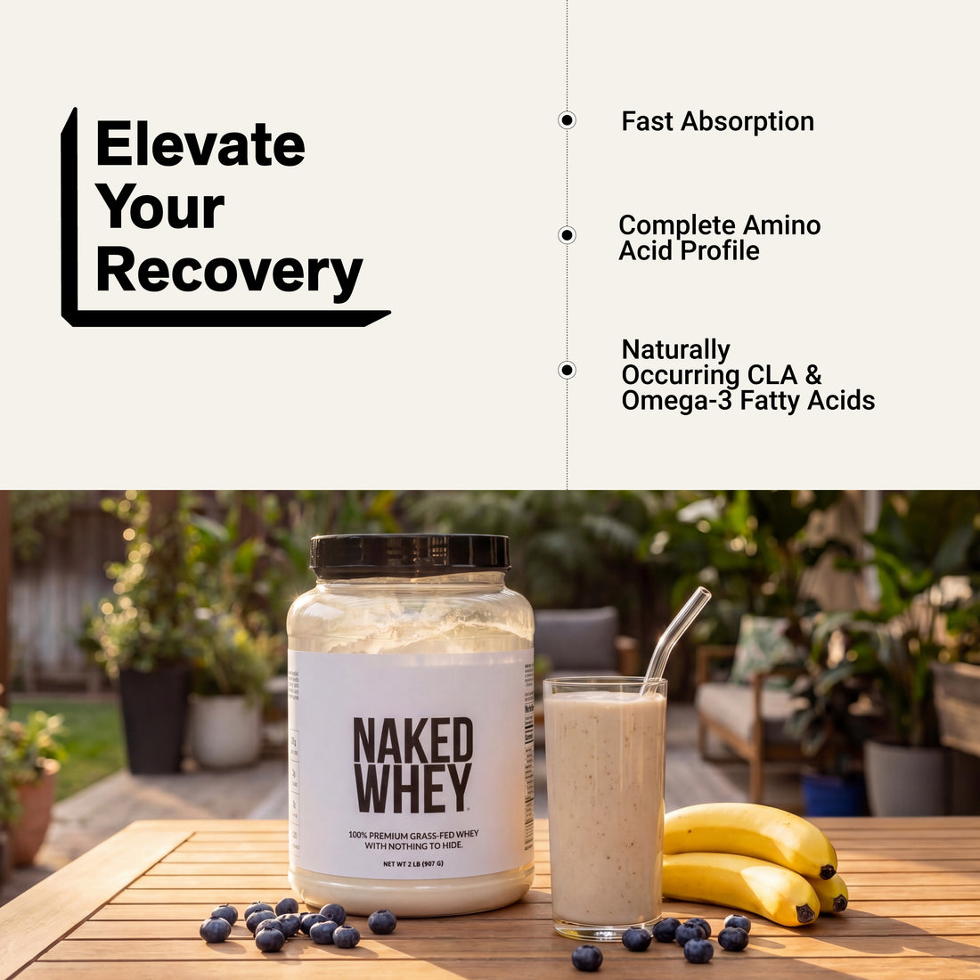 amino acid whey protein omega 3